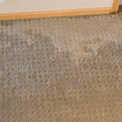 water damage to carpet