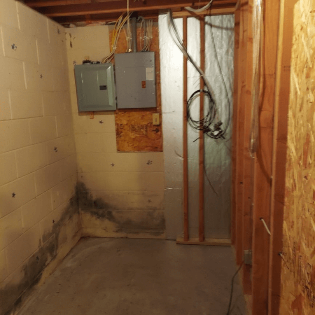 Mold in basement